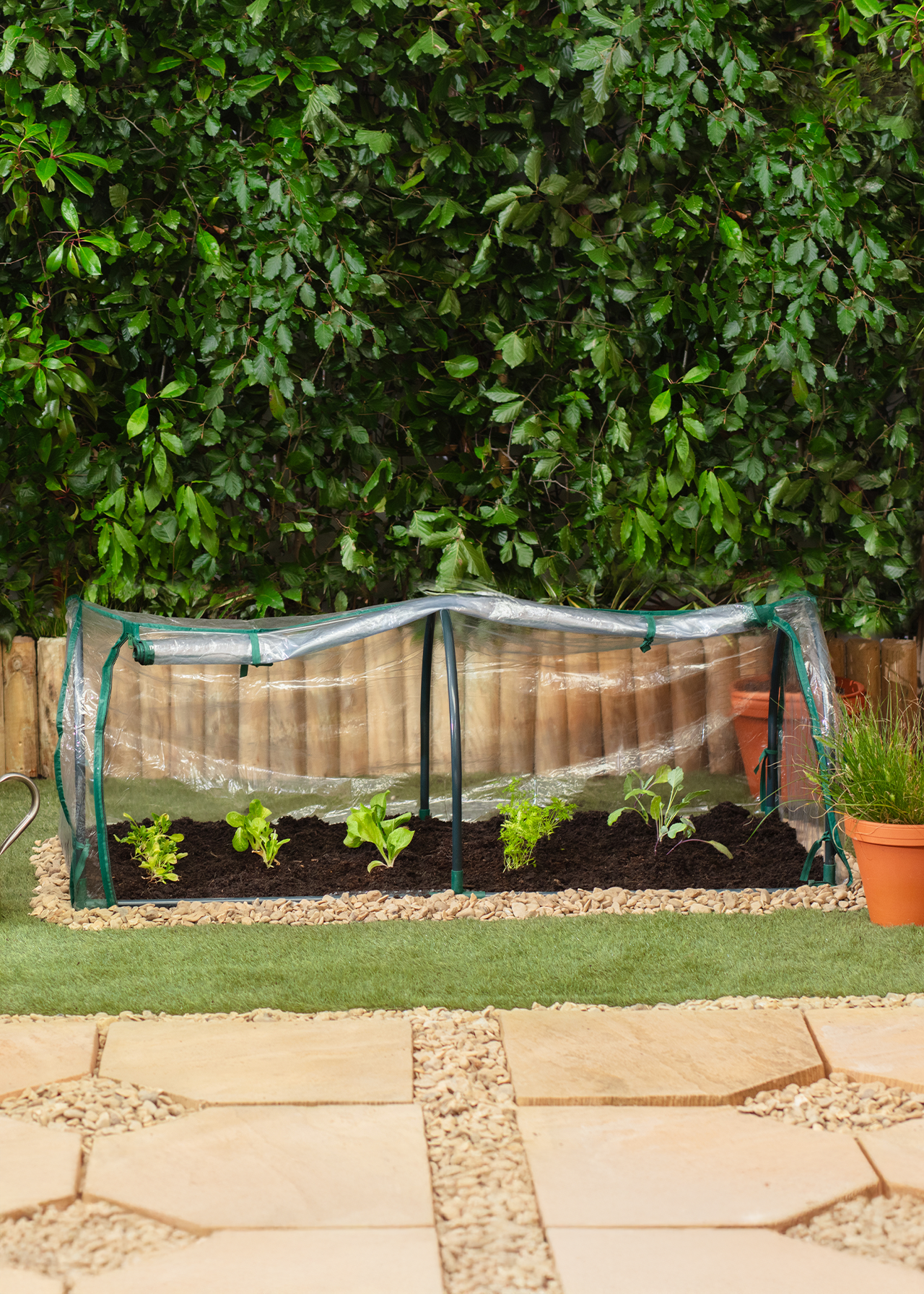 Dobbies Garden Cloche