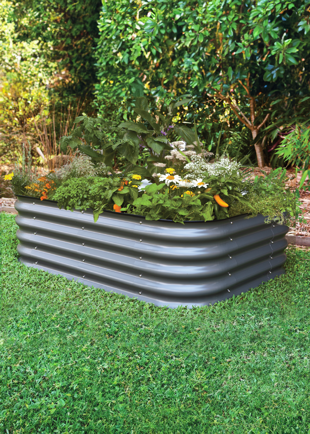 Small 6 in 1 Short Raised Garden Bed Monolith
