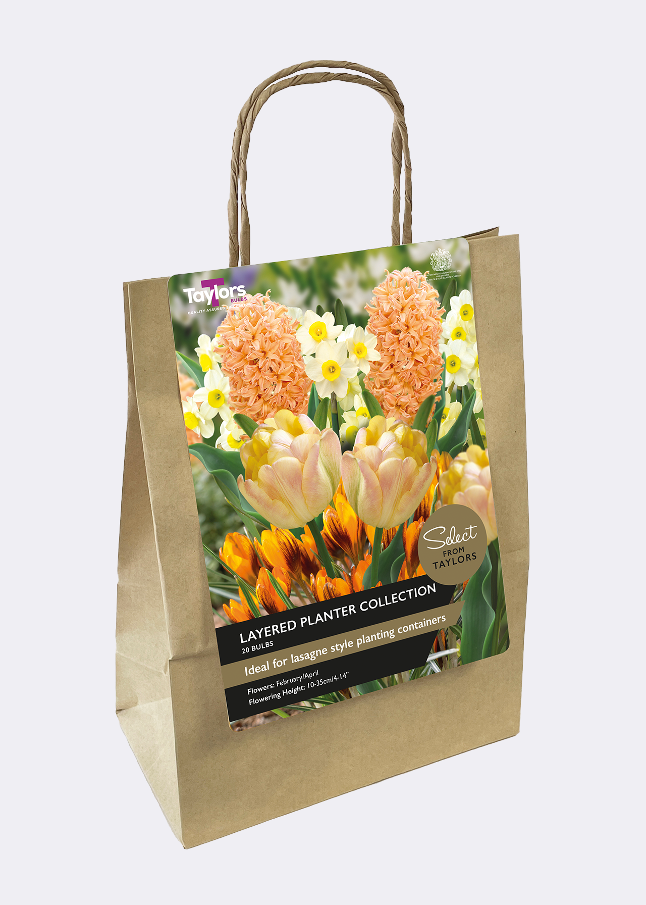 Layered Pot Collection pack of 20