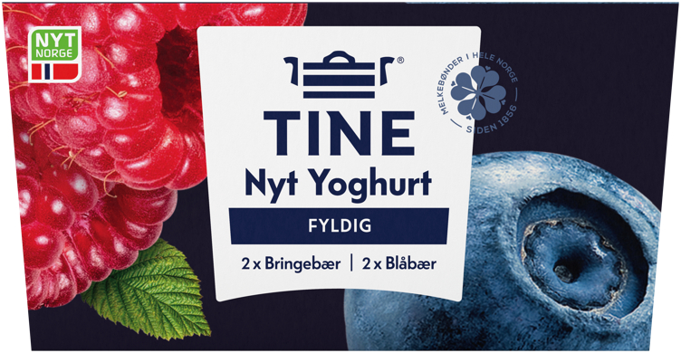 YOGHURT BLÅBÆR/BRINGEBÆR 4X125G TINE