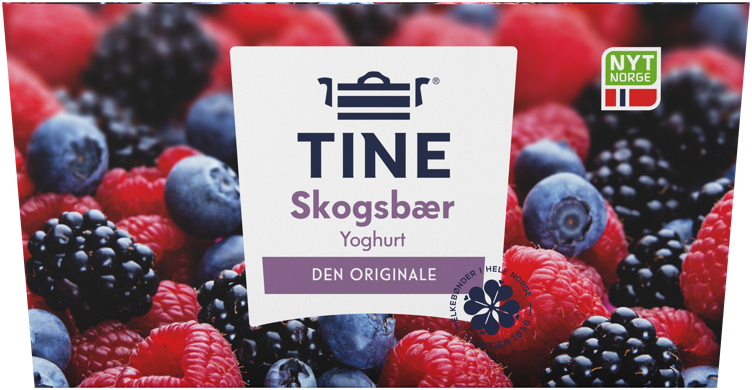 YOGHURT SKOGSBÆR 4X150G TINE