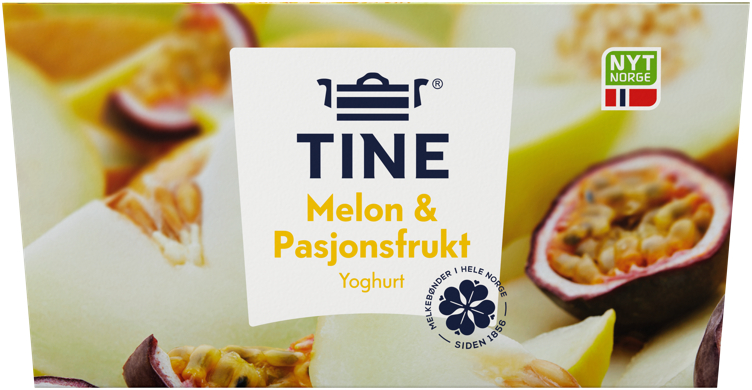 YOGHURT MELON 4X150G TINE