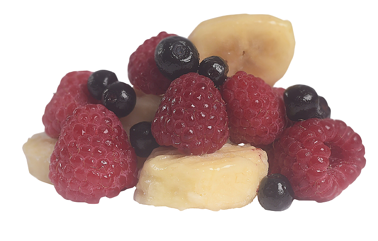 SMOOTHIE MIX BLUEB/RASP.15X800G