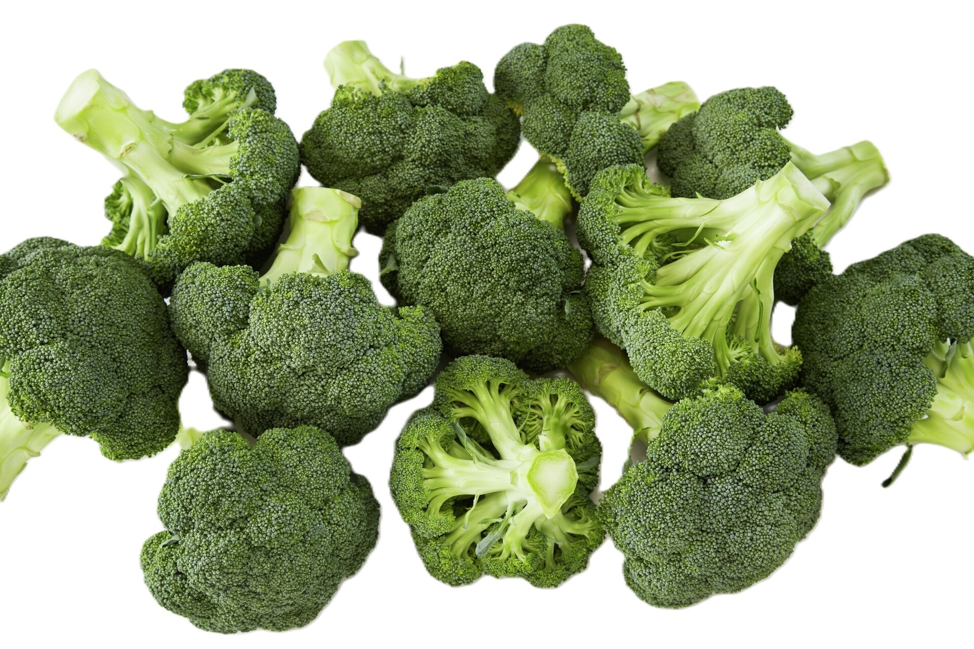 BROCCOLI FRESH          400G