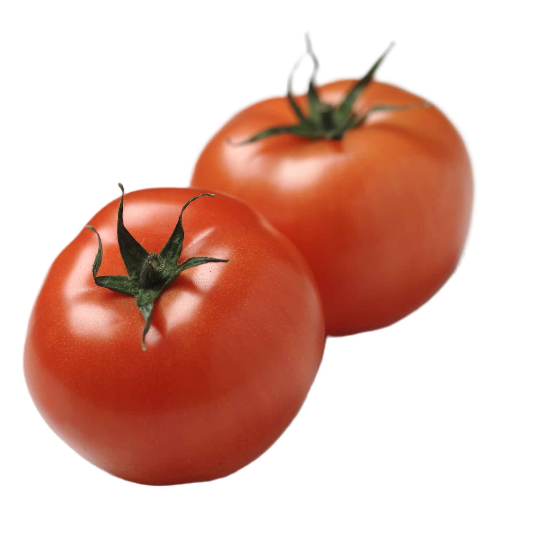 BEEFTOMATO              KG
