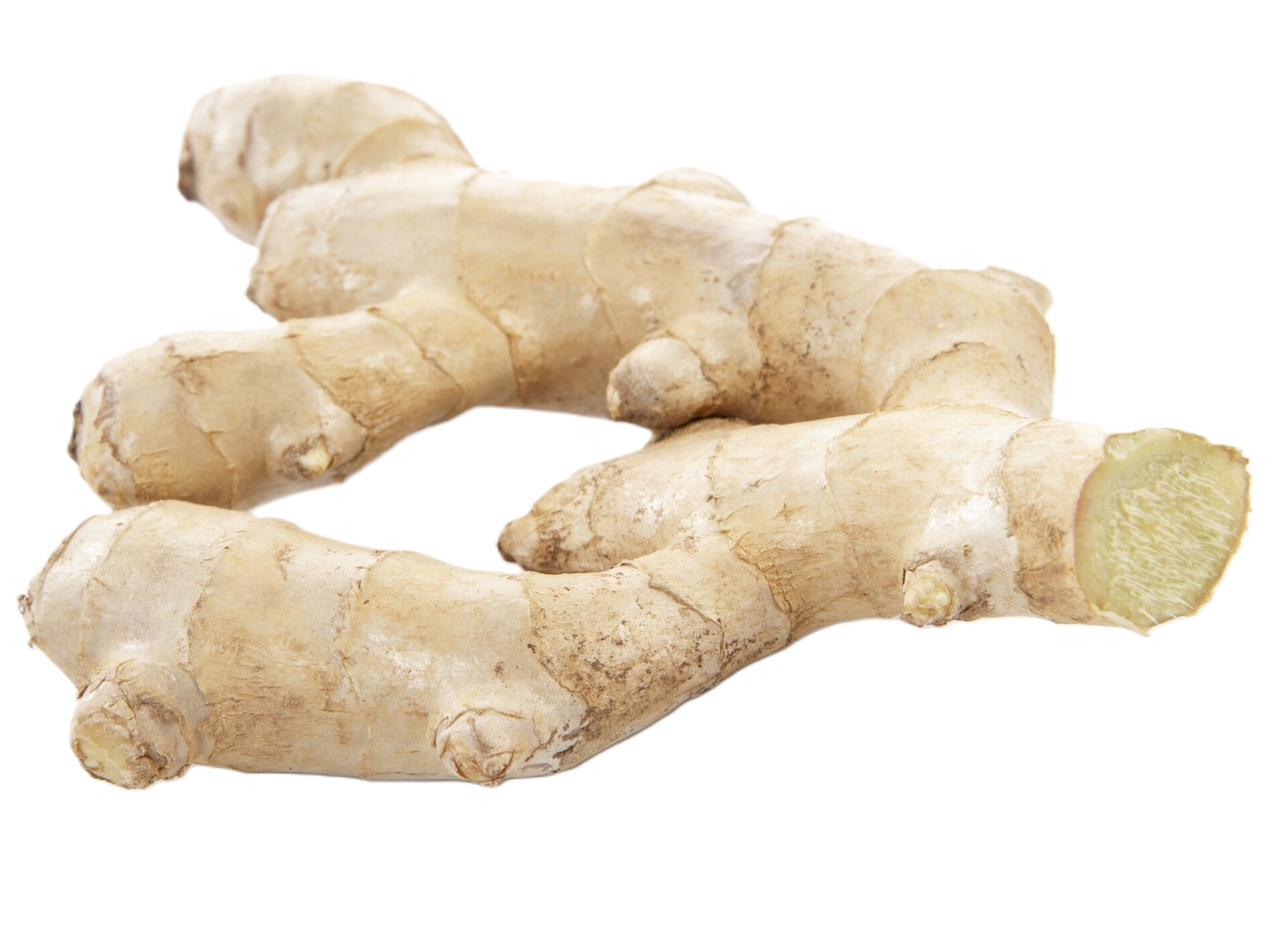 GINGER                  KG