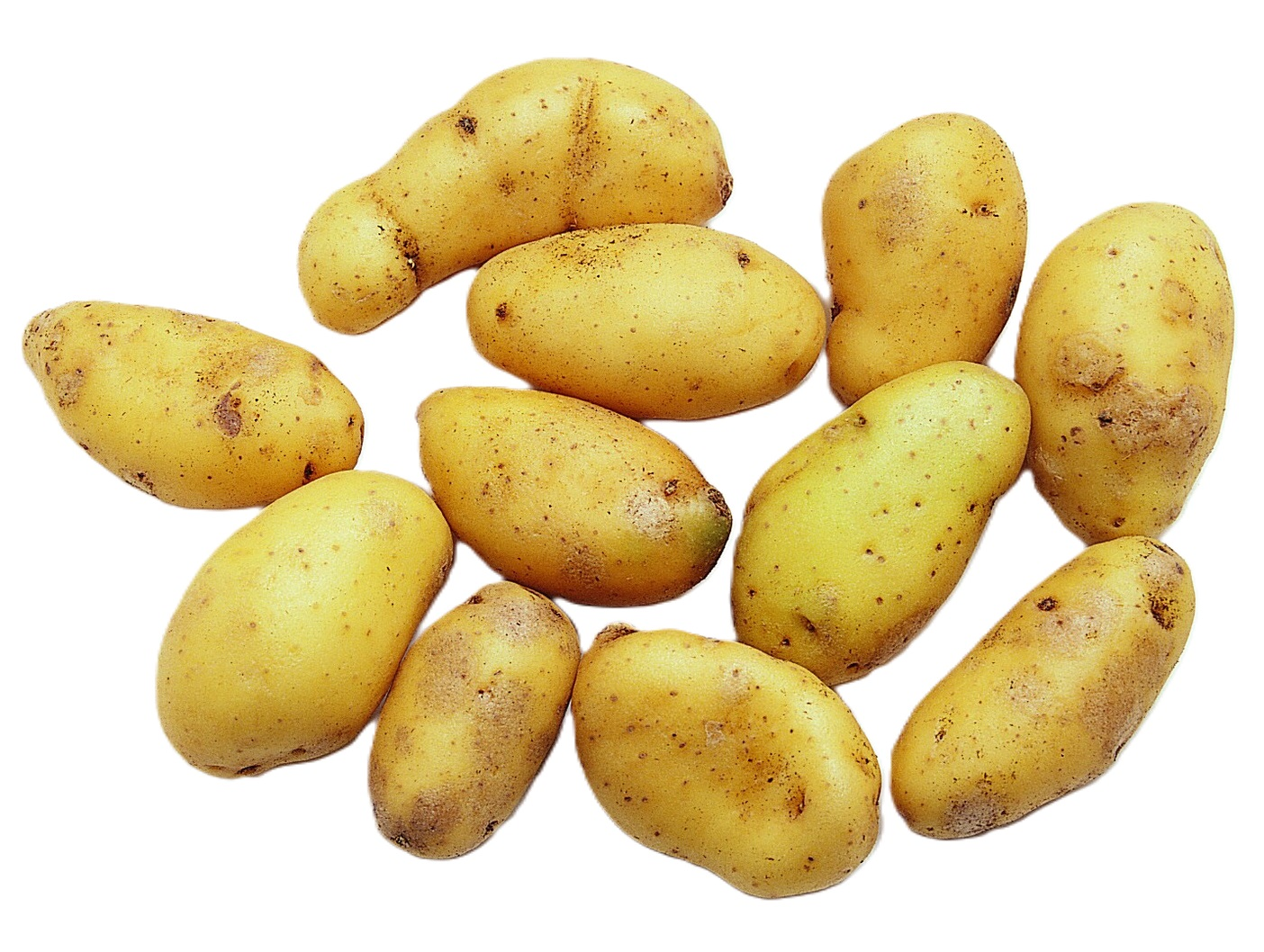 POTETER RATTE LØS KG