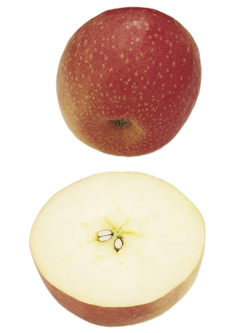 APPLES, PINK LADY       KG