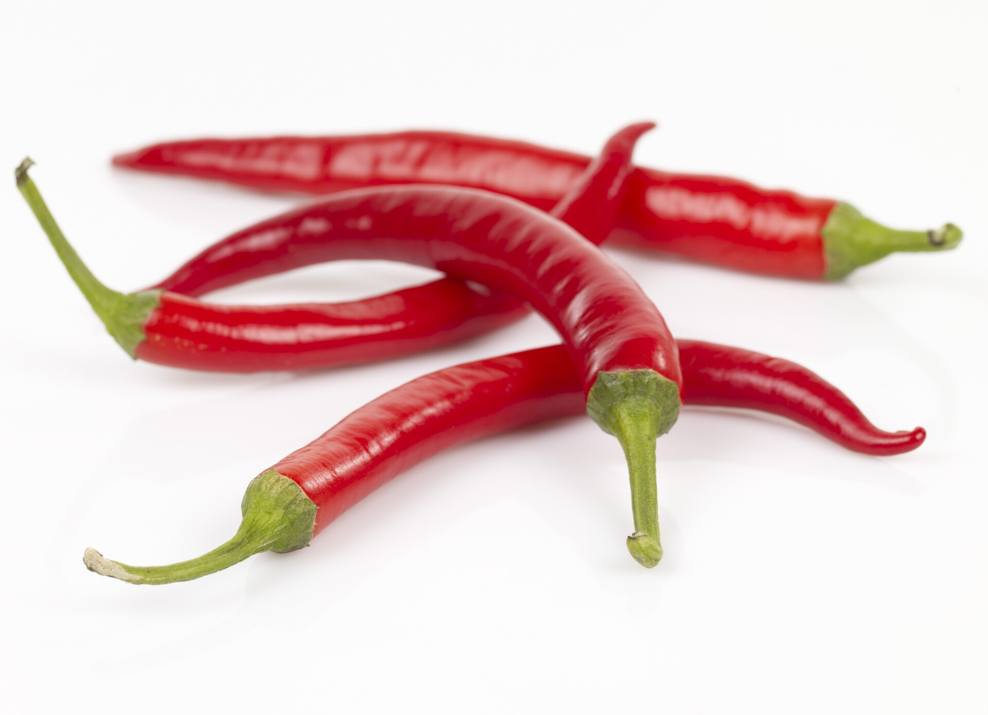 CHILI RØD ØKOL.   KG