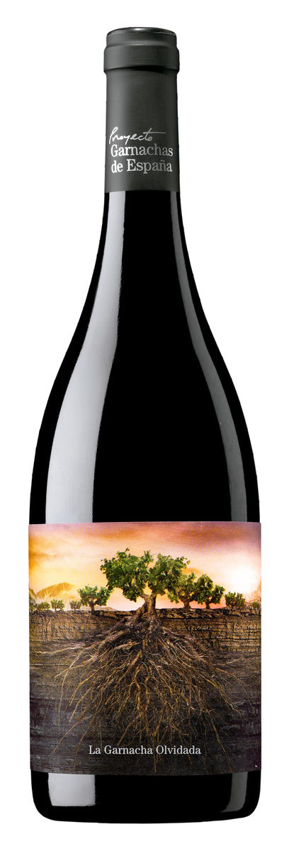 PROYECTO GARNACHA ARAGON 2021 15,5% 75CL