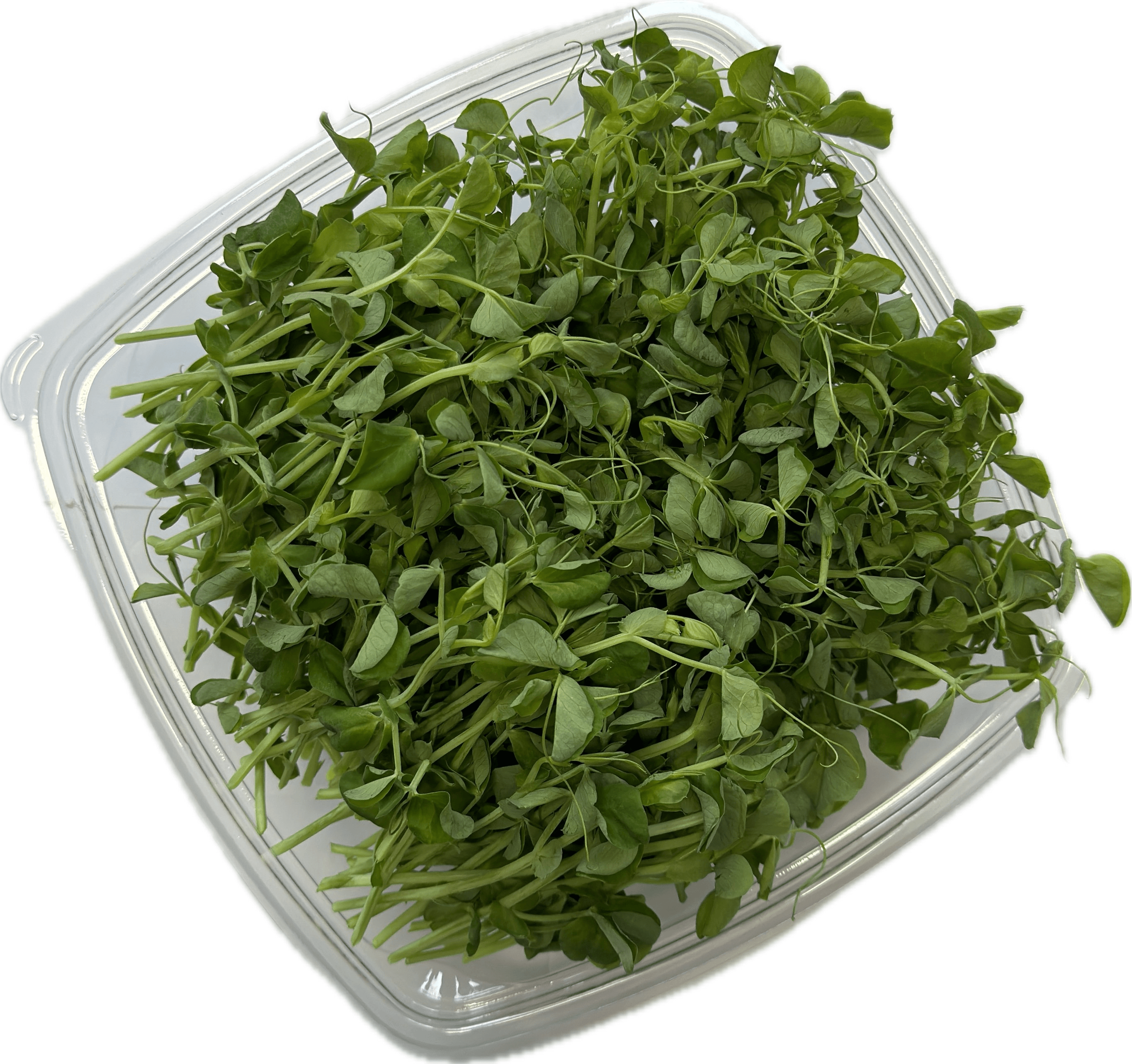 PISELLO ERTER 120G