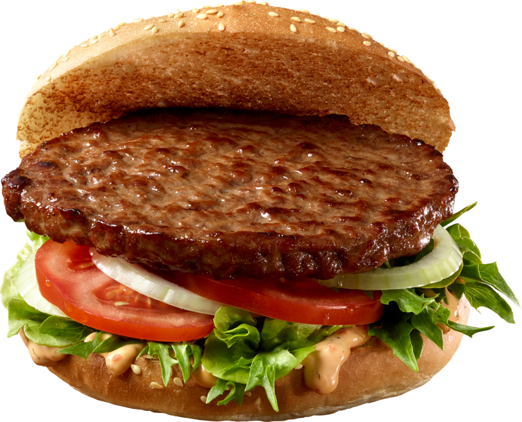 HALAL HAMBURGER 160G  5,28KGM