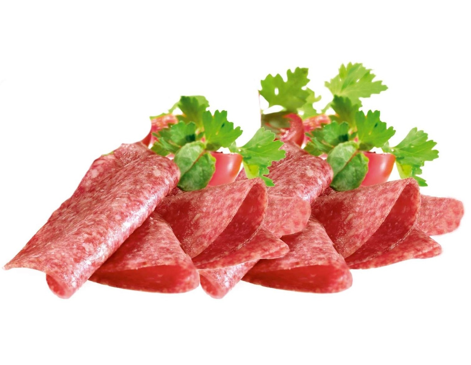 SALAMI SPESIAL 100G SKÅRET RØKT