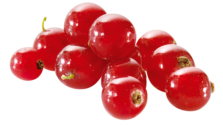 CURRANT FROZEN          2X2,5KG