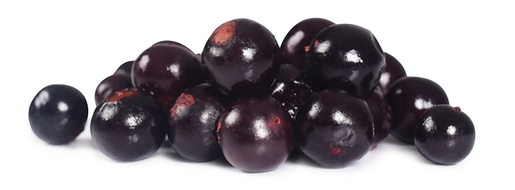 BLACKCURRANT  2,5KG