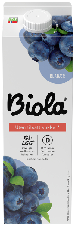 BIOLA BLÅBÆR UTEN 1000G TINE