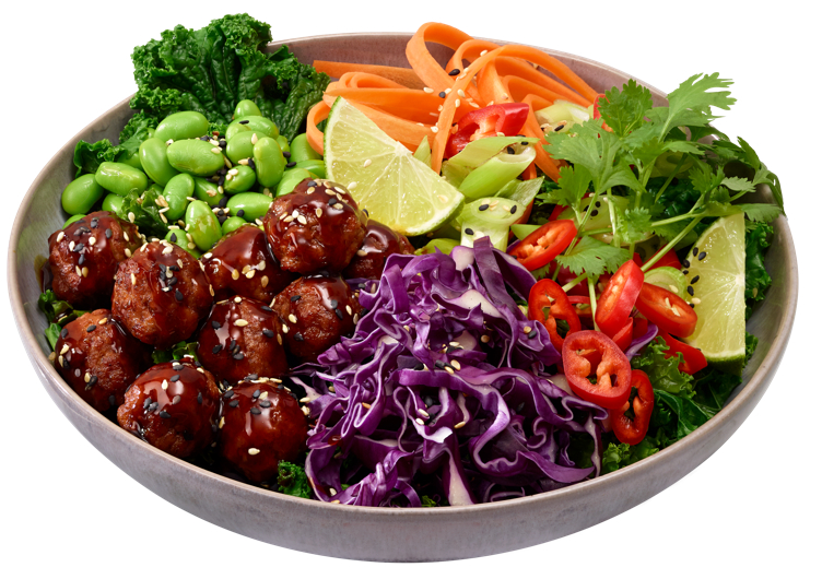 VEGETARIAN BALLS 504X12G  6,048KG