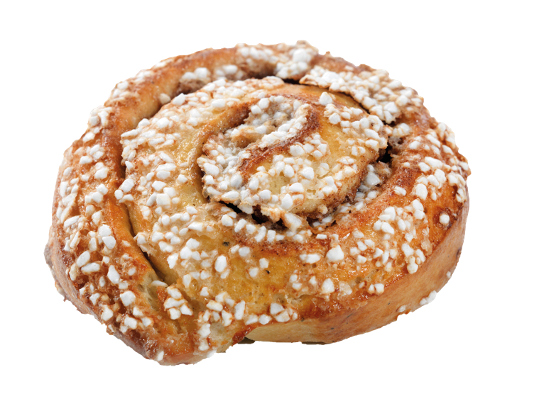 CINNAMON FERMENT   55X100G