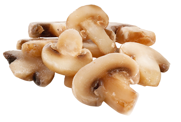 CHAMPIGNON SLICED       2X2,5KG