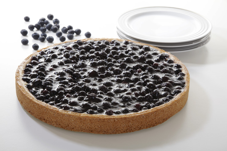 BLUEBERRY CAKE              1150G