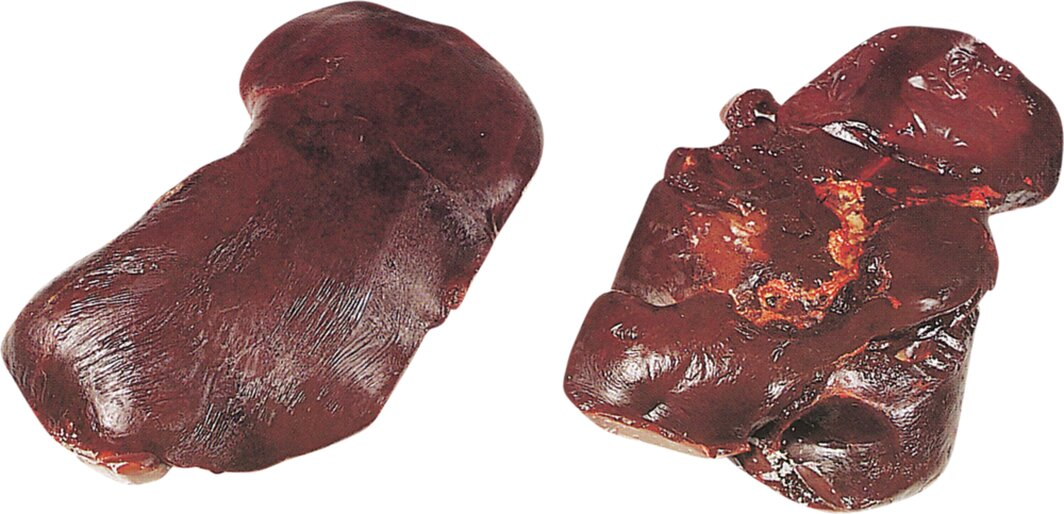 STORFELEVER 10KG