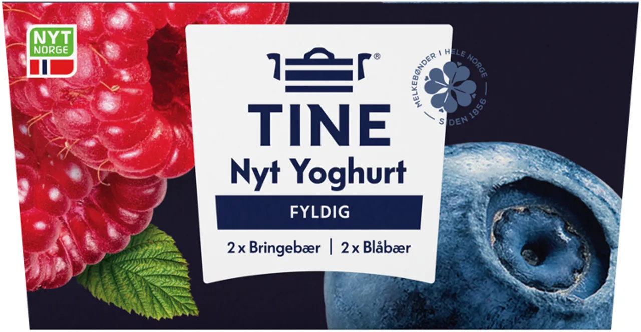 YOGHURT BLÅBÆR/BRINGEBÆR 4X125G TINE