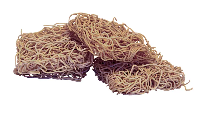 WHOLE WHEAT NOODLES 6KG SANTA MARIA WHOLE WHEAT NOODLES 6KG SANTA MARIA