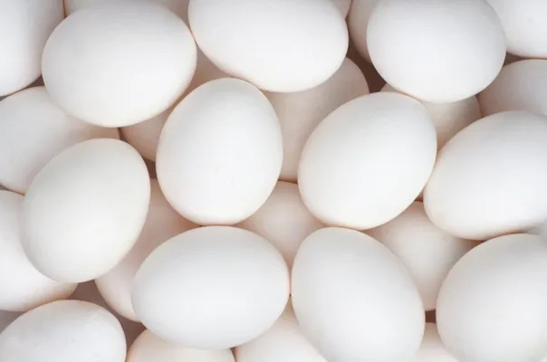Egg L10 Frittgående Høns