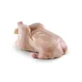 CHICKEN WHOLE 10X1400G