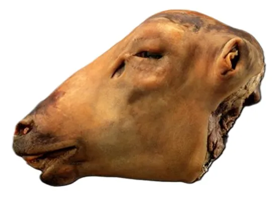 Smalahove Fryst Stk