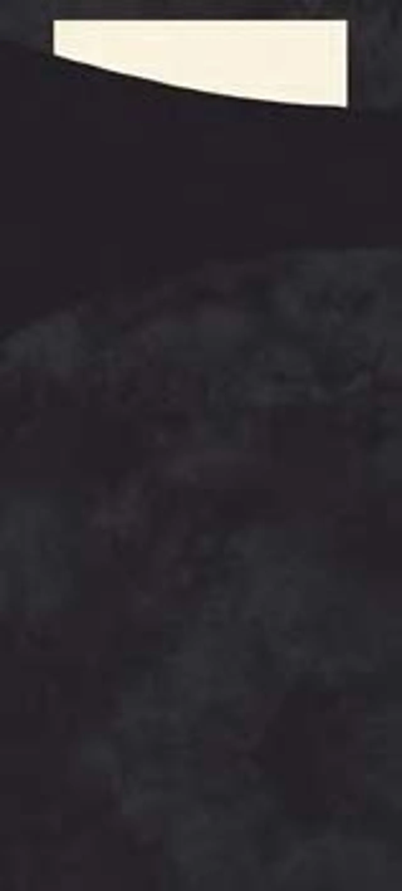 SACCHETTO PAPER 200X85 SORT 100STK