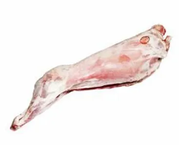 SOMMERLAM 13KG SOMMERLAM 13KG