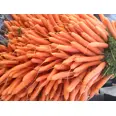 GULROT GOURMET/RUSTIKK 1KG