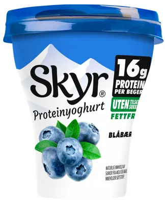 Skyr® Blåbær 160g