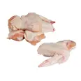 CHICKEN WINGS WHOLE W/SPIKE FROZEN 2,5KG