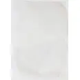 SOUS VIDE POSE PP 350X550 500STK