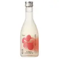 SHO CHIKU BAI PREMIUM GINJO SAKE 15% 30CL