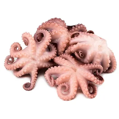 BABY OKTOPUS 40/60 WHOLE CLEANED RÅ 1KG BABY OKTOPUS 40/60 WHOLE CLEANED RÅ 1KG