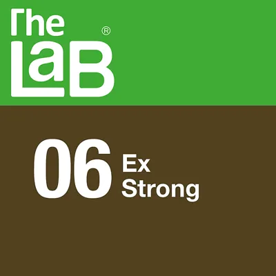 The Lab 06 Extra Strong