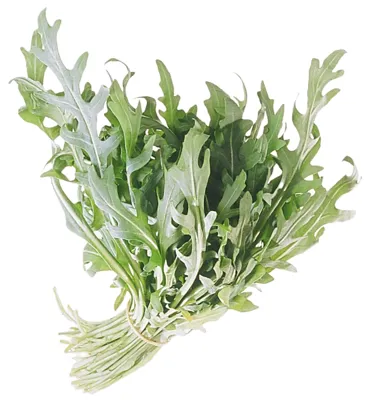 SALAT RUCCOLA 100G PK SALAT RUCCOLA 100G PK