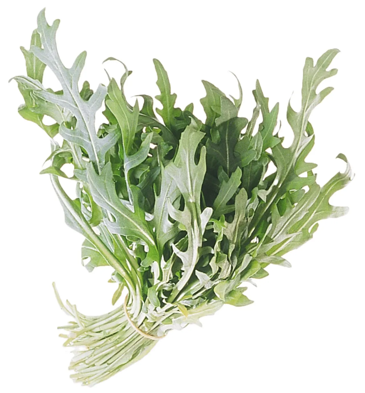 SALAT RUCCOLA 100G PK