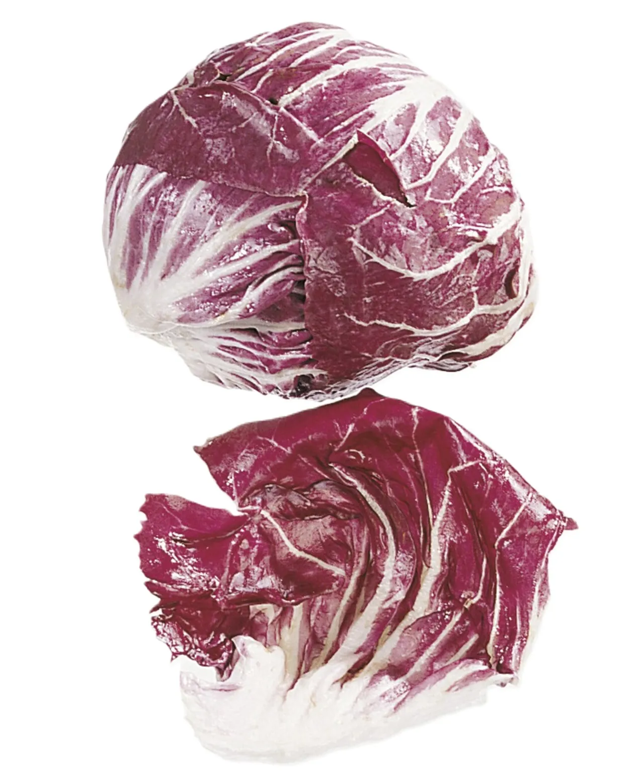 SALAT RADDICHIO ROSSO STK