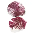 SALAT RADDICHIO ROSSO STK