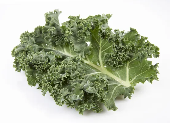 GRØNNKÅL KG GRØNNKÅL KG