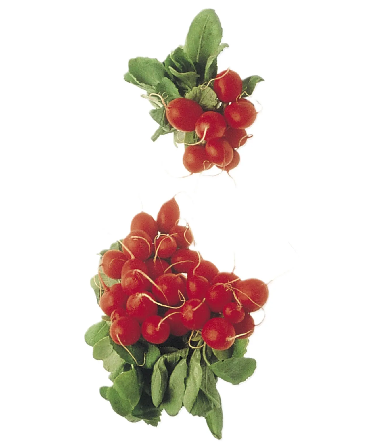 REDDIKER PAKKET 125G