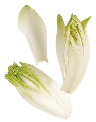 Salat Sikori/Endive 500g Pk