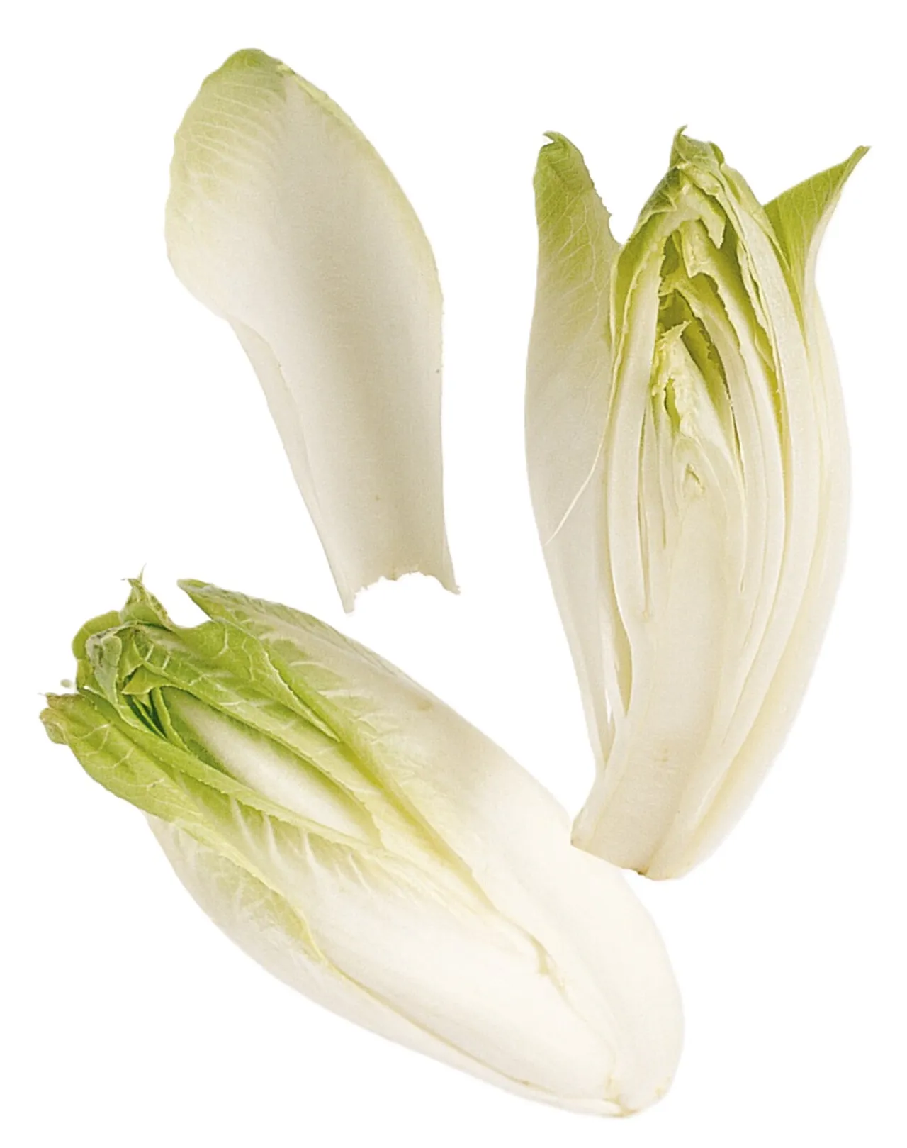 SALAT SIKORI 500G PK