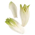SALAT SIKORI/ENDIVE 500G PK