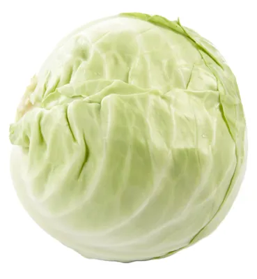 Hodekål Kg Import
