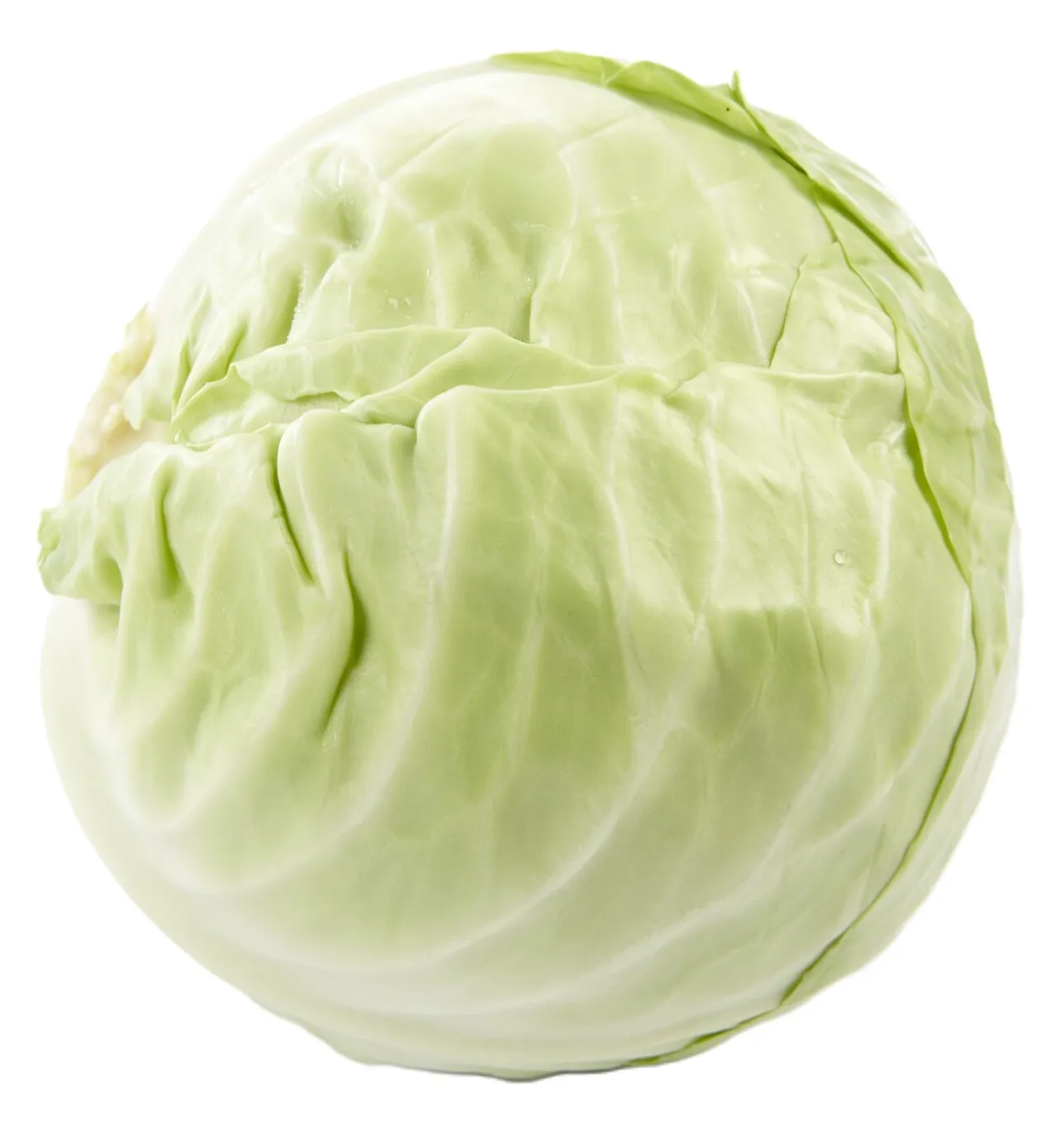 HODEKÅL KG